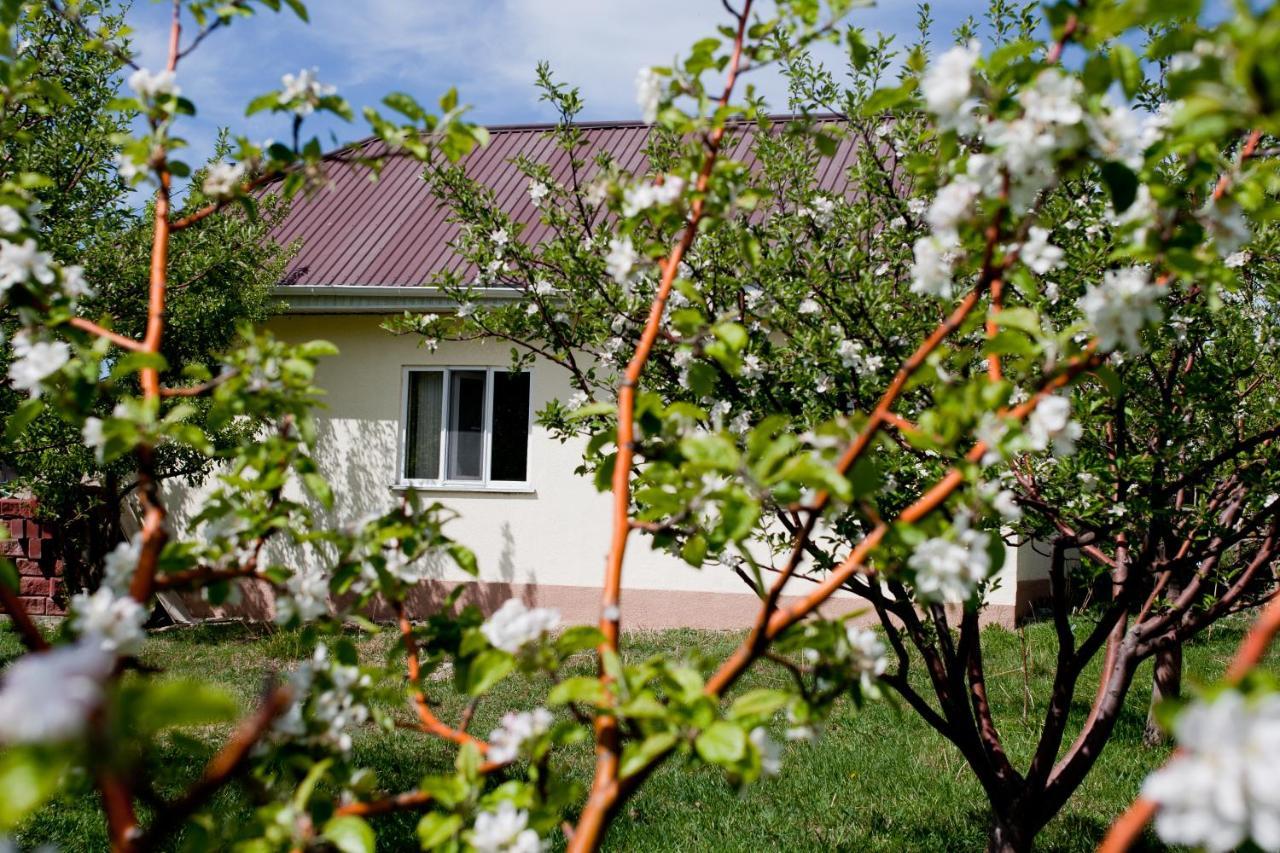 Barskoon Guest House エクステリア 写真